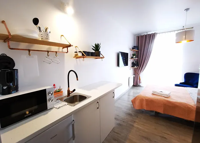 S14 Foto With Balcony Lägenhet Klaipėda