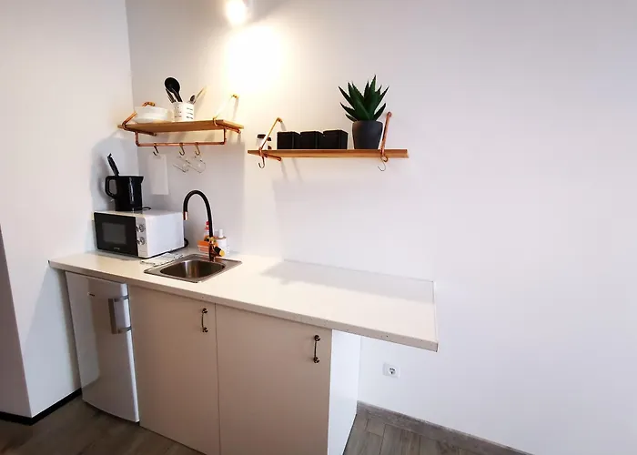 S14 Foto With Balcony Klaipėda