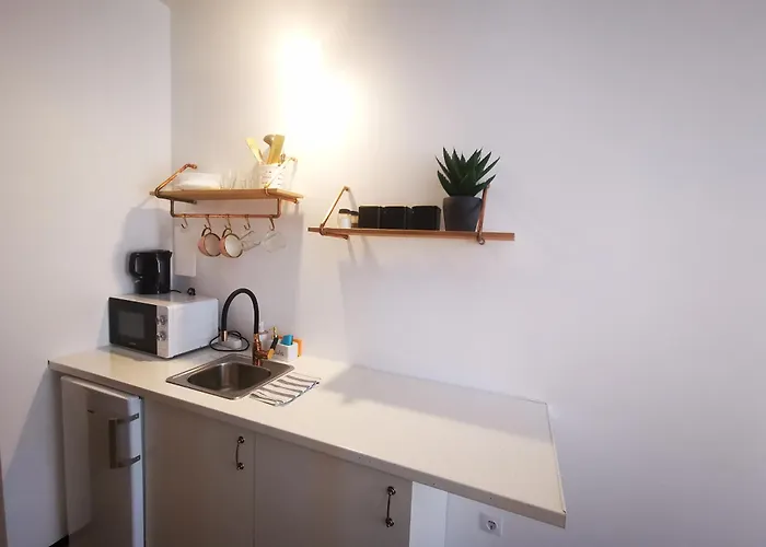 S14 Foto With Balcony Апартаменты Клайпеда